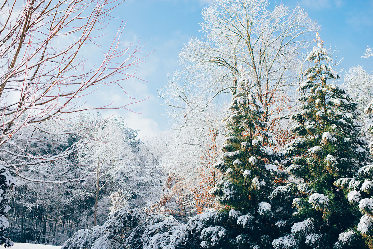 winterize your air conditioner